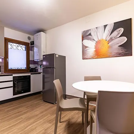 Apartment Daisy Flowers By Wonderful Italy *