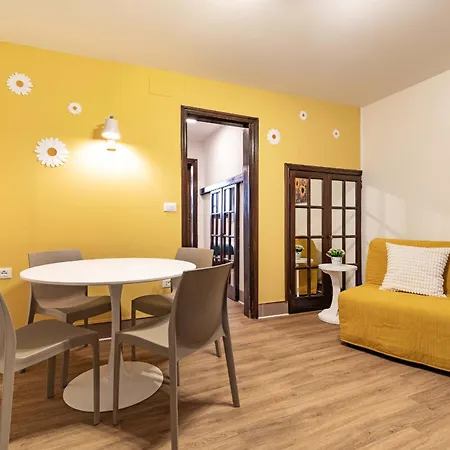 Apartment Daisy Flowers By Wonderful Italy